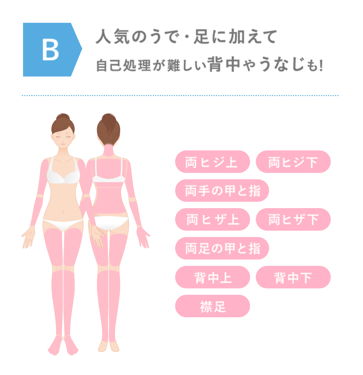 Bコース