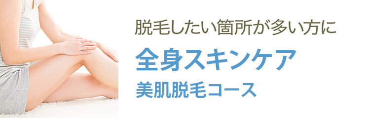 全身脱毛コース