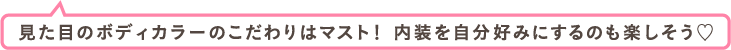 見た目のボディカラーのこだわりはマスト！内装を自分好みにするのも楽しそう