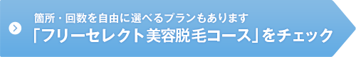 両ワキ Vライン美容脱毛6回コースの料金 プラン 美容脱毛サロン ミュゼプラチナム