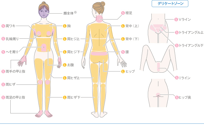 料金メニュー プラン 全身 部分の美容脱毛サロン ミュゼプラチナム